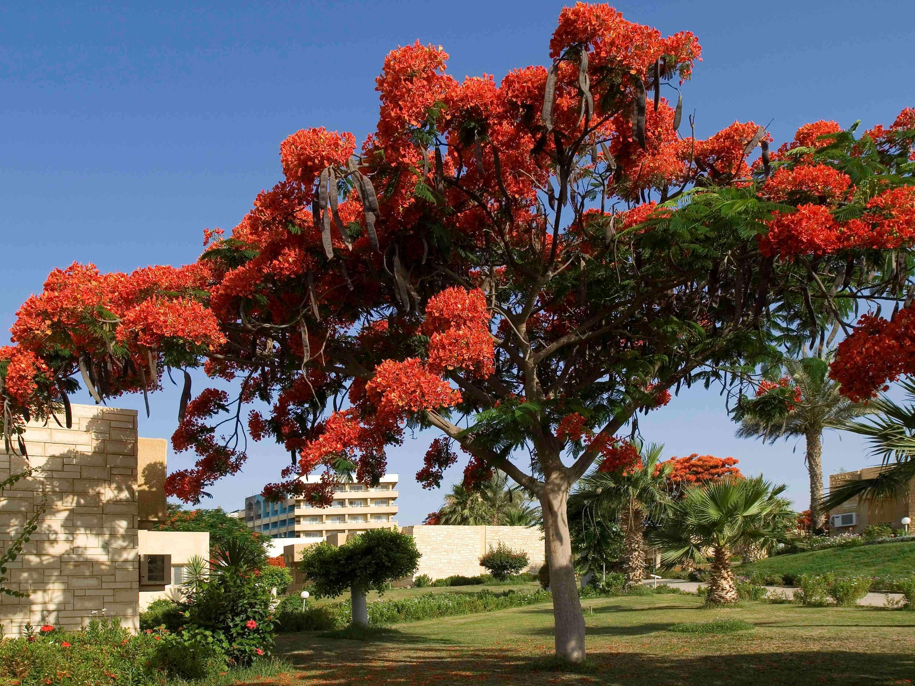 Mercure Ismailia Forsan Island Luaran gambar